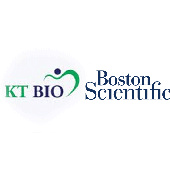 kt bio boston